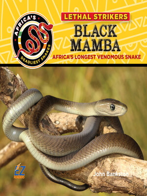 cover image of Black Mamba: Africa's Longest Venomous Snake